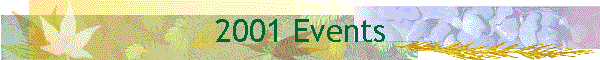 2001 Events