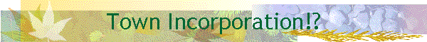 Town Incorporation!?