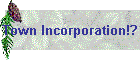 Town Incorporation!?