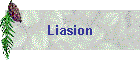 Liasion