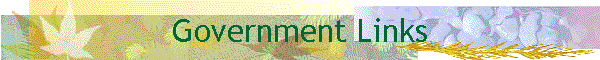 Government Links